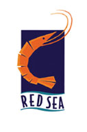red sea